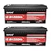 Dumfume 2 Packs 12V 200Ah LiFePO4 Lithium Battery, Built-in 200 BMS 8000+ Deep Cycles Rechargable Lithium Iron Phosphate Battery for RV, Solar,Off Grid Applications