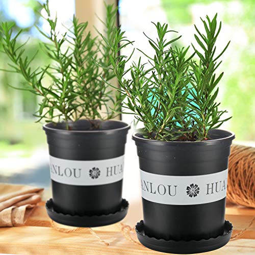 Flower Pot, ZOUTOG 1 Gallon Planters, Nursery Pots with Drainage Hole and Tray, Pack of 10, Plants not Included, Black - Thumbnail 7