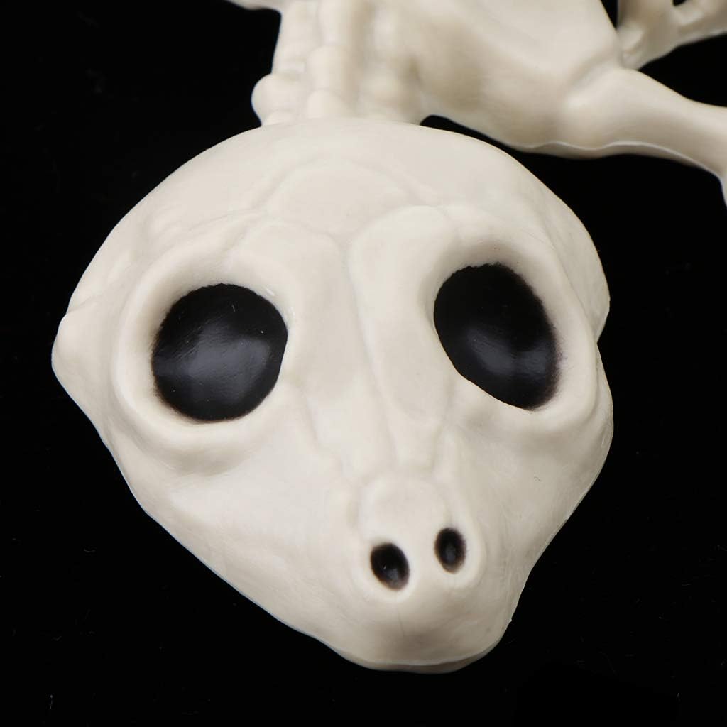 Amazon Tachiuwa 怖いヤモリの骨動物の骨格フィギュア子供のおもちゃの小道具家の装飾 おもちゃ雑貨 おもちゃ
