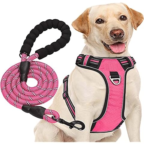 haapaw No Pull Dog Harness with Lead Cover