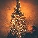 Brightown C9 LED Christmas String Lights, 66ft 100 LED Waterproof Strawberry String Lights, Plug-in Extendable Green Wire Lights String for Outdoor Indoor Outside Patio Wedding Party Decoration