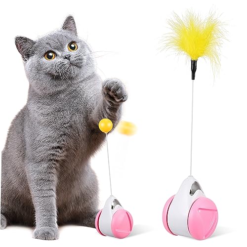 Abaodam  _ t ̃Lb  Ȑ pLeB   