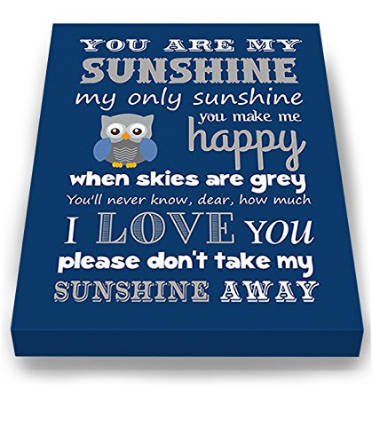 Adorable You are My Sunshine Bedtime Story Rhyme - Woodland Owl Design - Stretched Canvas Nursery Wall Art Decor - Baby Gift idea - Wooden Frame Construction - Ready to Hang 24X30
