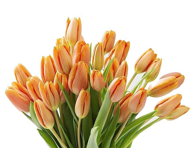 Image of KaBloom-20 Orange Tulip Bouquet,Flowers for Valentine, Mother's Day