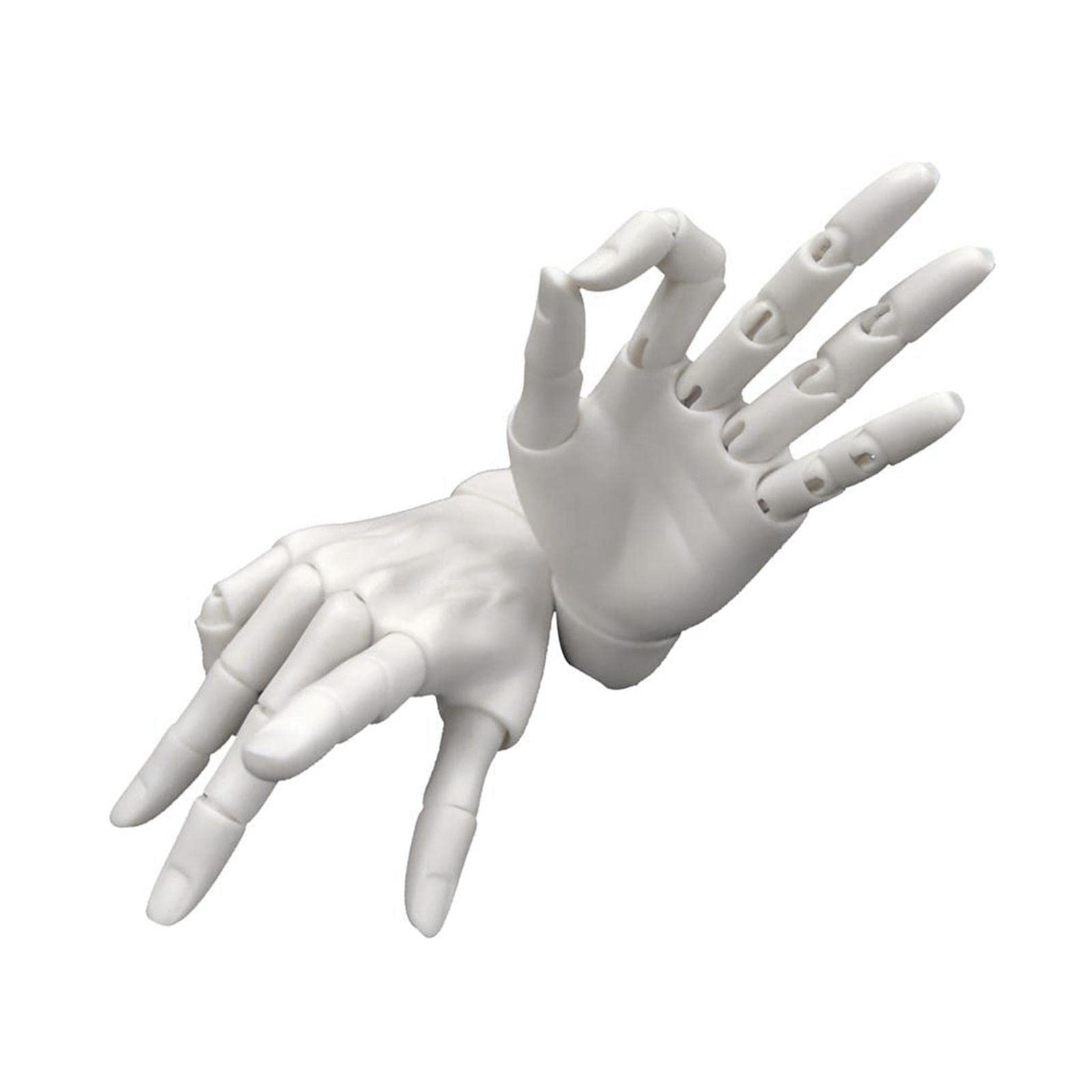 Amazon | misppro 1/3BJD ハンドモデル 可動式指 関節式手のひら 男性
