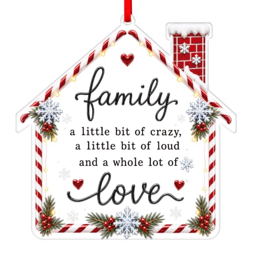 WaaHome Family Christmas Ornaments 2026 Christmas Funny Gifts for Family