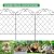 PLHG 12 Pack Garden Fence, 12.9ft(L) × 24in(H) Animal Barrier Border, Decorative Metal Fence Border, Rustproof Wire Flower Edging Fencing Panel No Dig Garden Fence for Patio Garden Yard, Arched