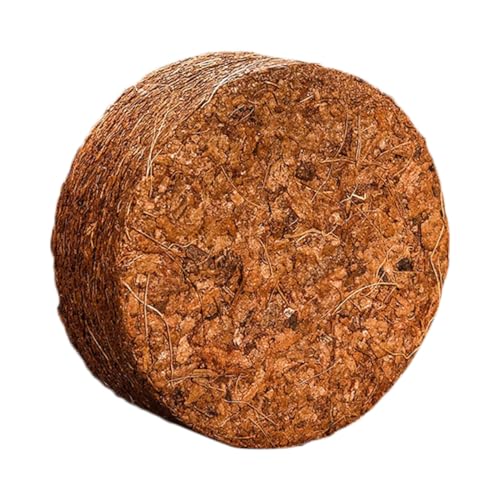 ULTECHNOVO 5 kL@RRibc@ۉh{y ې ʋC |p|{y x_ A n[u ؂̈琬