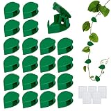 WEDNOK 60 Stück Kletterpflanzen Befestigung Wand Pflanzenclips Pflanzen Wandhalterung Clips Kletterhilfe Pflanzenkletter Halterung Pflanzenklammern für Gardening Plant Support Climbing Wall Gemüse