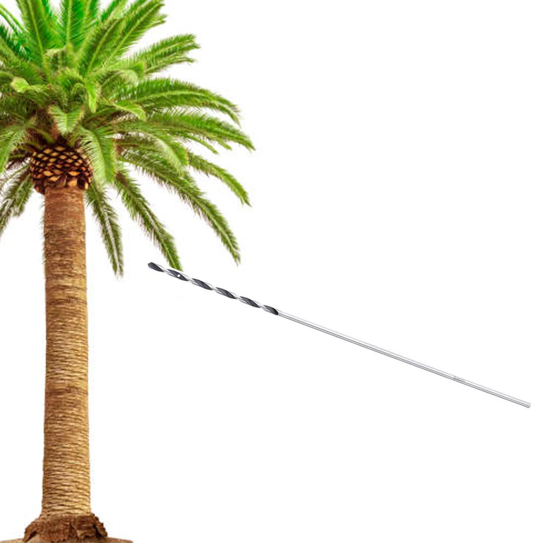 Broca de largo especial Troncos de Palmeras y Árboles | Broca Taladro 400 mm y 65 mm para madera especial tratamientos endoterapia en tronco de palmera (picudo rojo) y árbol gran porte | Nexum Market