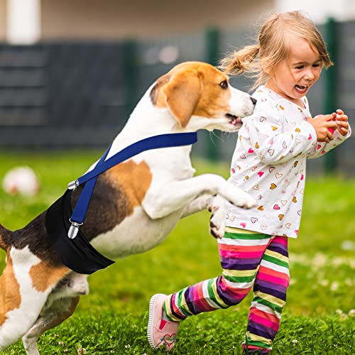 12 Pack Dog Diapers Suspenders Bulk Female Dog Suspenders For Dogs Diaper Keeper Suspender For Dog Skirt, Dog Dress, Black Blue Rose Pink #TOP6