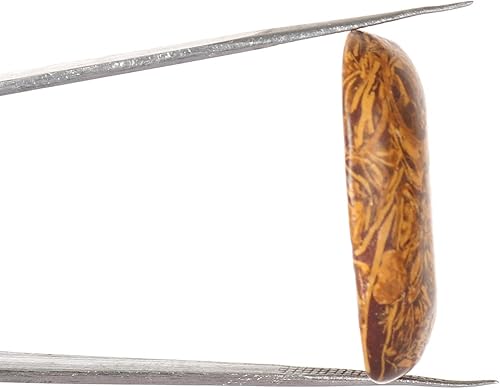 Miniatura 3 de GEMHUB Natural Jasper Oval Cabochon Brown Color 24.65 CT. Healing Crystal Loose Gemstone Perfect for Pandent Making