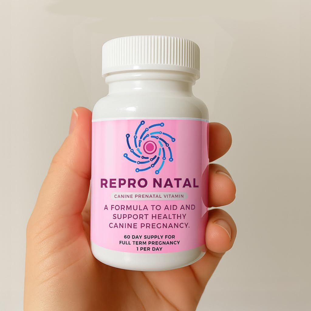 Prenatal Multi-Vitamin Capsules - 60-Day Supply to Aid Full-Term Pregnancies and Promote Optimal Health for Expecting Dogs - ReproNatal™ Dog Supplement
