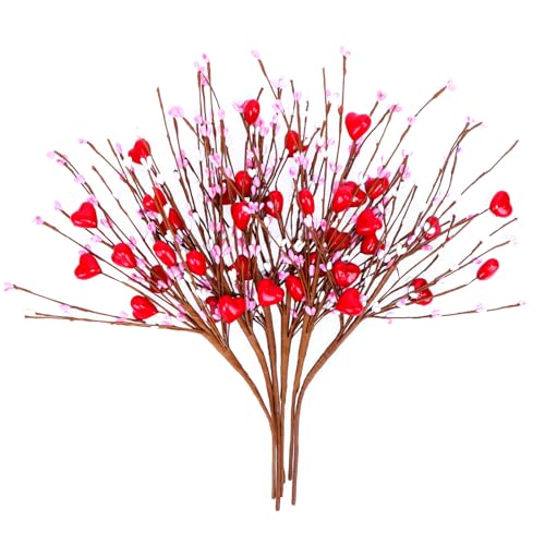 Valentine’s Day Gifts