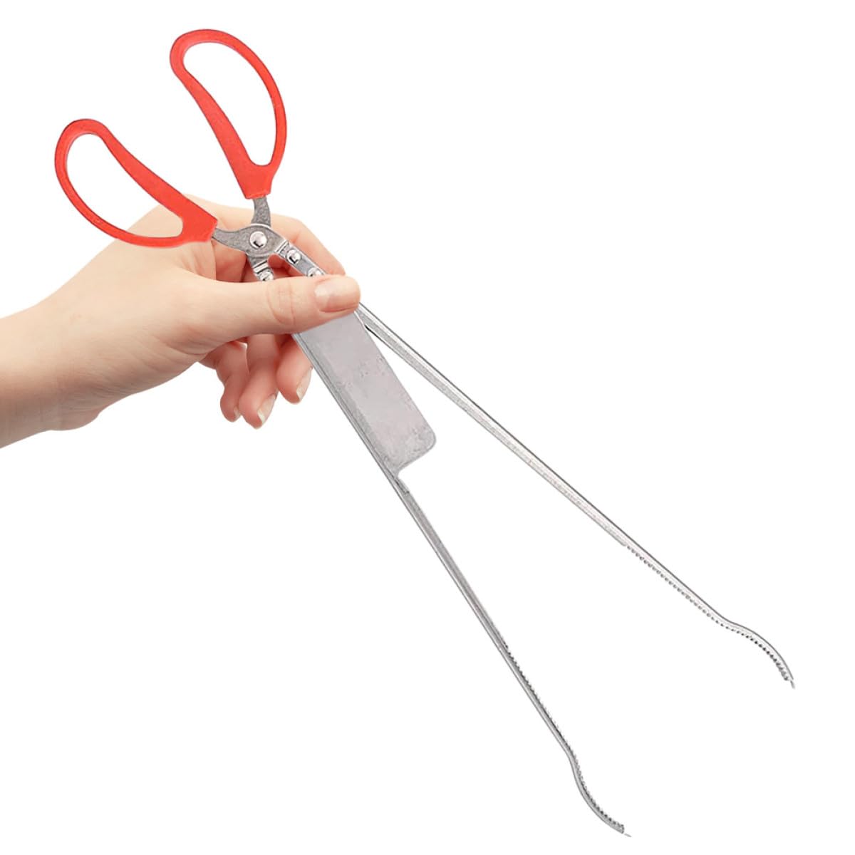 HANABASS Pinza per Granchi Multifunzione in Acciaio Inox Resistente Morsetto Antiscivolo, Tenaglia per Aragosta e Anguille, Strumento Leggero per Pesca e Raccolta in Esterno