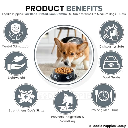 Image of Foodie Puppies Stainless Steel Dog Bowl Combo - (Medium, 700ml) Food and Water Feeding Gift Bowl | Suitable for Dogs, Cats and Other Pets I Paw Bone Print, Anti-Skid Rubber Base (White + Black)