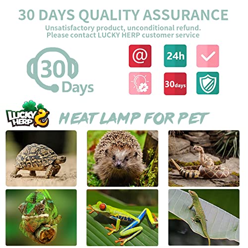 Image of LUCKY HERP 4 Pack 50W UVA UVB Reptile Light Bulbs, Heat Lamp Bulbs for Reptiles and Amphibians, Basking Light Bulb for Turtle, Bearded Dragon, Lizard Heating Use