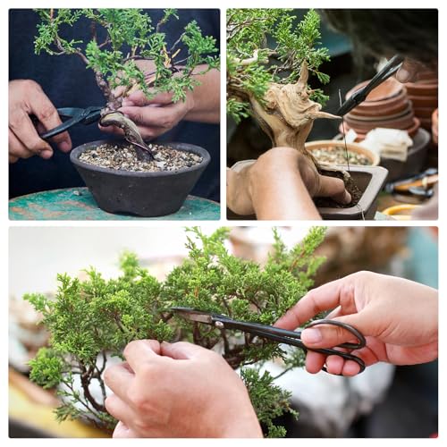 Tijeras para Bonsai HARFINGTON 8 pulgadas 200mm miniatura 7