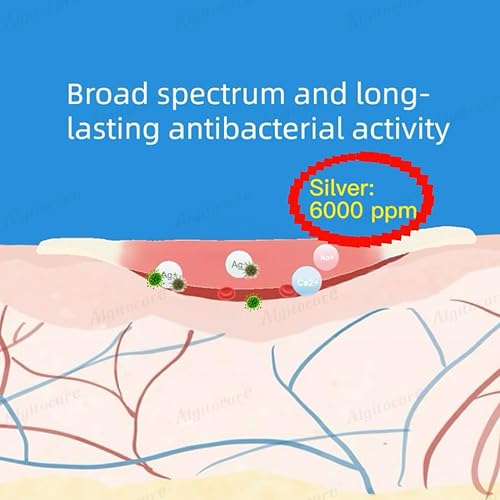 Miniatura 5 de Ag Silver - Apósito de alginato de calcio para heridas, 4 x 4 pulgadas (paquete de 10), almohadillas de gasa estériles antiadherentes para acelerar