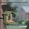 cbeyook Smart Bird Feeder Camera with AI Species Identifier | Solar Powered, 2.5K HD Video, Motion Alerts - Outdoor Garden & Birdwatching Gift #4