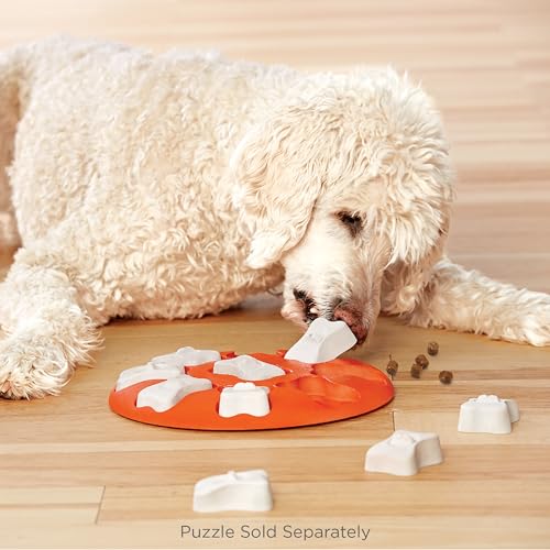 Image of Nina Ottosson by Outward Hound Replacement Bones for Dog Puzzle - 5 Pack