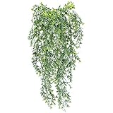 Pflanze balkon besteht aus hochwertigem Kunststoff, ist UV-beständig und wasserdicht und kann im Freien und in Innenräumen, in Gärten, Küchen, Balkonen, Geländern und an anderen Orten verwendet werden, die Sie dekorieren möchten.
