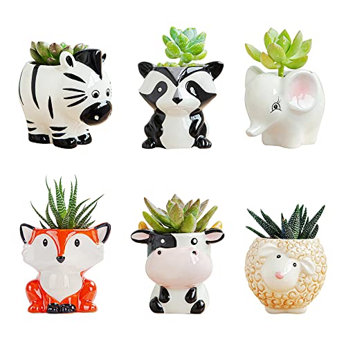 DIYOMR Cute Animal Ceramics Planter Small Succulent Pot Cartoon Shaped Plant Pot for Mini Plants Flower Cactus, Smooth Shiny Ceramic - Plants Not Included (6 Animals Set)