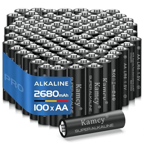 KAMCY Piles AA Lot de 100 1,5V LR06
