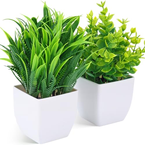 DomeStar 2PCS Small Plants Indoor, Faux Potted Plants Spring Greenery for Home Decor, Desktop Shelf, Bathroom Kitchen Office