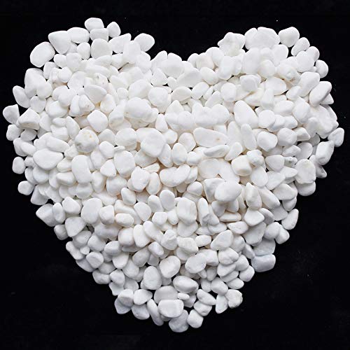 Image of WAYBER 2 Lb /920g White Stones Decorative Pebble Rock Sand for Aquarium /Fish Turtle Tank /Vase Filler /Succulent Plants Decoration (Fill 2 Cups)