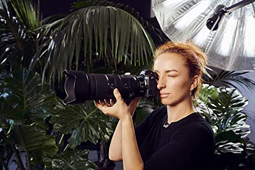 (Renewed) Nikon NIKKOR Z 70-200mm f/2.8 VR S amazinggiftidea-com