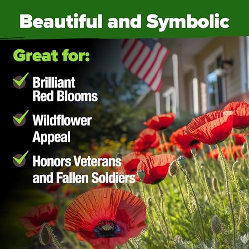 Image of HOME GROWN American Legion Red Poppy Seeds - 6,000 Vibrant Wildflower Seeds for Planting Outdoors - Annual Poppy Flowers - Memorial Garden & Pollinator Friendly (Papaver rhoeas)