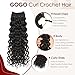 Gogo Curl Crochet Hair Pure Protein Fiber Close to Human Hair 12 Inch 8 Packs Pre twisted Curly Crochet Hair for Women Deep Ocean Water Wave Beach Curl Twist Braiding Hair Extensions (12inch 1B)