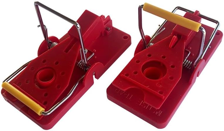 GRIMM'S グリムス スローピングブロック クーゲルン 木のラトル セット