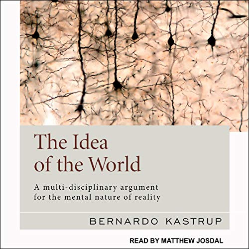 The Idea of the World by Bernardo Kastrup episode artwork