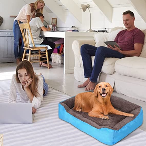 Image of SITSNOOZE Premium Orthopedic Dog Bed XL for Large Dogs 20 to 30 kg Washable Reversible Cushion Sofa for Boxer, Rottweiler and Doberman Breeds (Sky Blue, XL)