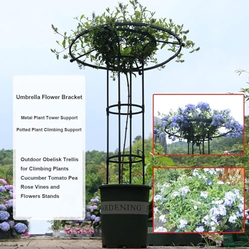 Evite la caída de enredaderas con este obelisco de jardín de 210 cm 4