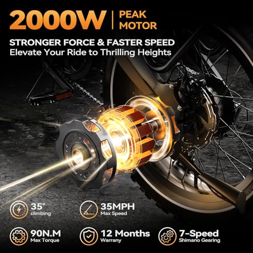 2000W/3000W Peak Motor Electric Bike for Adults, 48V/52V