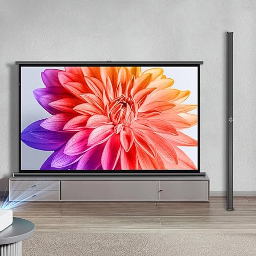 Pantalla portátil manual para proyector de 40 pulgadas 16:9 miniatura 1