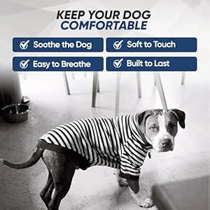 Tooth & Honey Big Dog Stripe Shirt Pullover Full Belly Coverage (Extra Large) Tooth Honey Big Dog Stripe Shirt Pullover Full Belly Coverage Extra Large