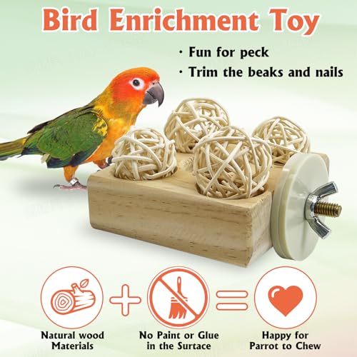 Image of Hamiledyi 2 Pack Wooden Foraging Bird Toys - Interactive Slow Feeder Enrichment for Conures, Budgies and Lovebirds | Cage Climbing Puzzle Toys for Small Parrots Promoting Natural Pecking Behavior