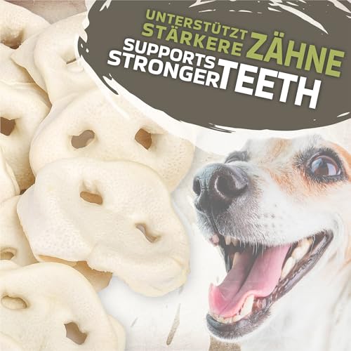 Schweinenasen für Hunde 1kg (ca. 45-55 Stück) | Getrocknete Schweinenasen Kausnack | 100% natürlich | Getreidefrei | Luftgetrocknet | Kauartikel für kleine & große Hunde