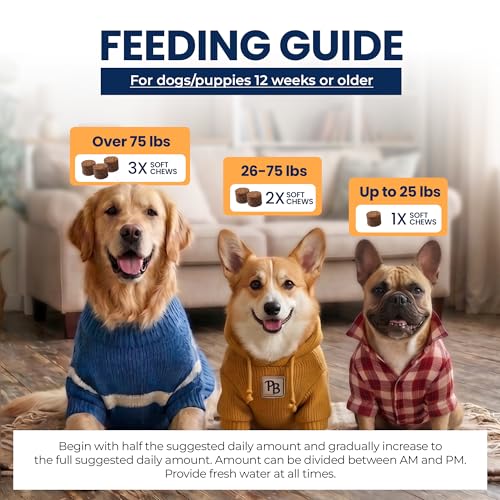 Image of Dog Hip and Joint Soft Chews with Glucosamine, 60 Count | Chondroitin, MSM, green lipped mussel and collagen support cartilage, flexibility and comfortable movement.