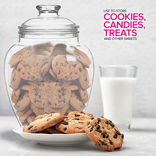 image for Modern Innovations 128-Ounce Candy & Cookie Jar with Lid, 1 Gallon Pre