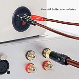 MEIRIYFA RCA na Pin wtyczka kabel głośnika, wtyczka RCA na podwójny pin, kabel audio do wzmacniacza DJ subwoofera miksera - 5 m