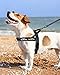 Eeyfarog No Pull Hundegeschirr für kleine mittelgroße Hunde, reflektierend ausbruchsicher verstellbar ohne Zug, Hundegeschirr (Schwarz, M)