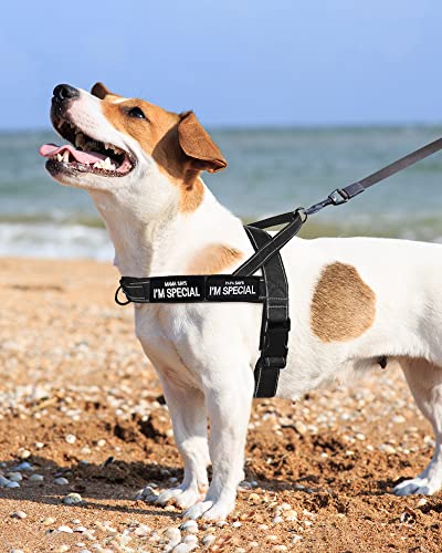 Eeyfarog No Pull Hundegeschirr für kleine mittelgroße Hunde, reflektierend ausbruchsicher verstellbar ohne Zug, Hundegeschirr (Schwarz, M)