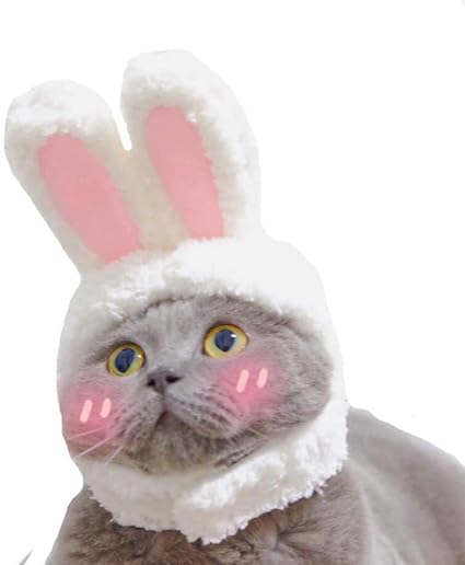 Delifur Cute Cat Bunny Ears Headband Pet Easter Costume White and Pink Rabbit Hat Decoration for Cats & Small Dogs