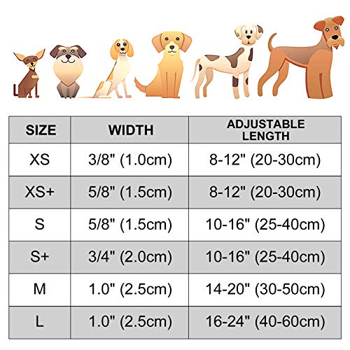 TagME Nylon Hundehalsband, Verstellbares Reflektierendes Hundehalsband mit Sicherheitsschnalle für Extra Kleine Hund, Schwarz, 1.5cm Breite