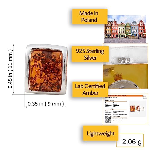 Amber Earrings - Baltic Honey Amber Stud Earrings "Lottie" - Sterling Silver Jewelry Collection2